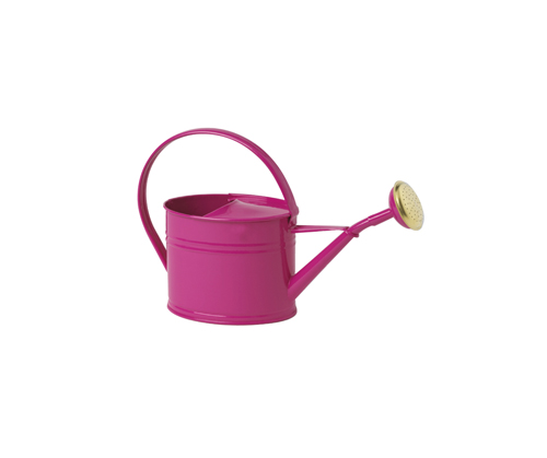 Steel watering cans galvanized by a volume of 1.75L Rose