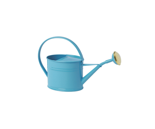 Steel watering cans galvanized by a volume of 1.75L Blue