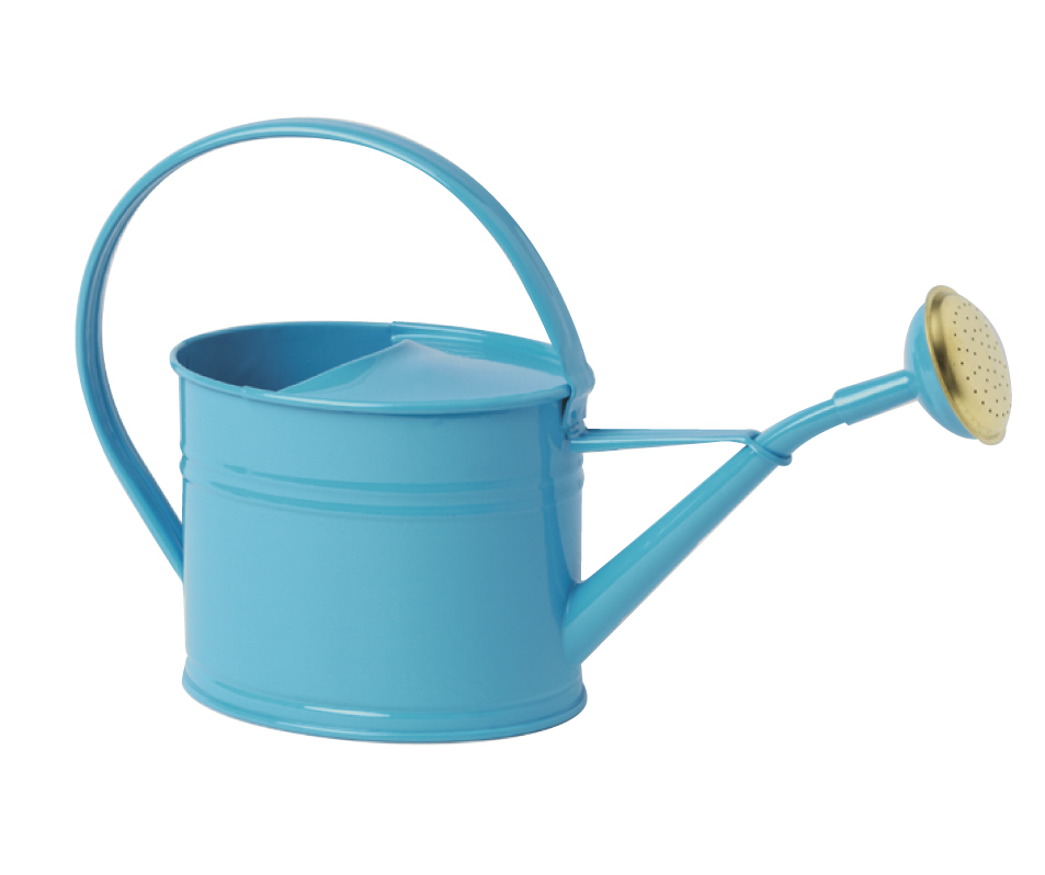 Steel watering cans galvanized by a volume of 1.75L Blue