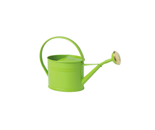 Steel watering cans galvanized by a volume of 1.75L Green