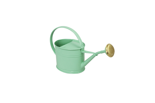 Steel watering cans galvanized of a volume of 1.75L Green Pastel