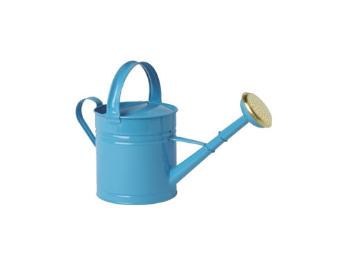watering-can 5L, blue "South Seas", with rose