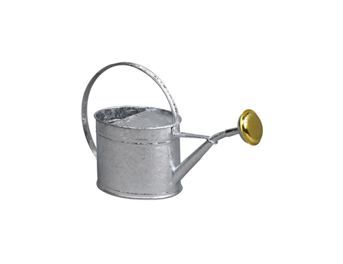 Steel watering cans galvanized by a volume of 1.75L