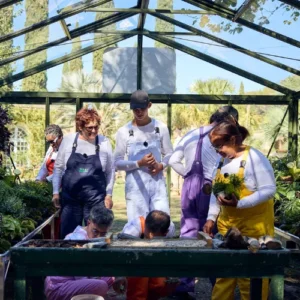 as du jardin dans la serre