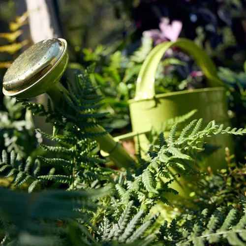 arrosoir vert guillouard les as du jardin
