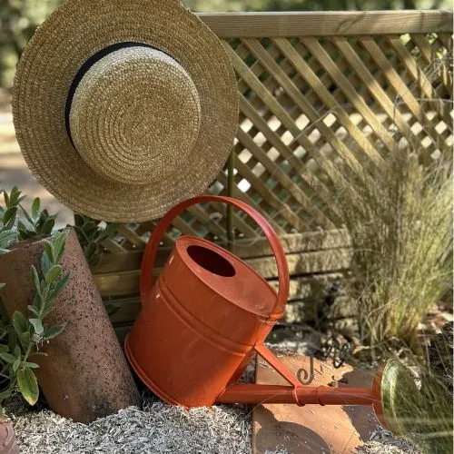 arrosoirs corail guillouard les as du jardin