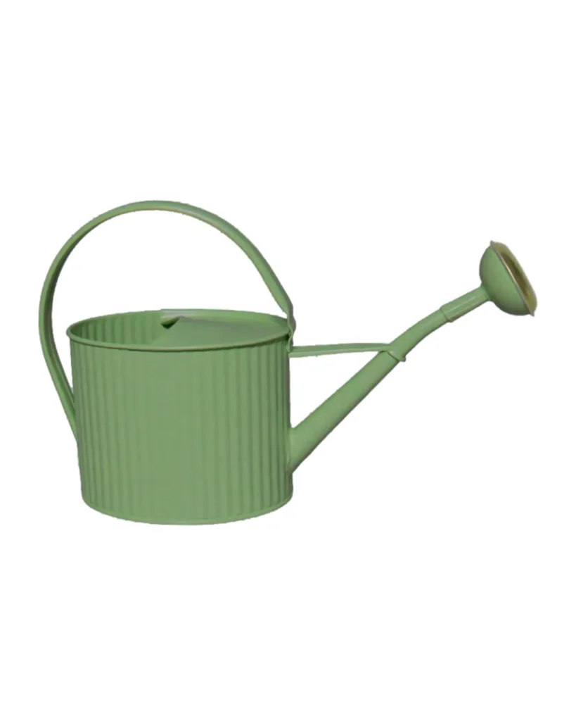 Arrosoir 1,75L vert céladon Guillouard avec anse ergonomique et pomme amovible à grille en laiton sur fond blanc