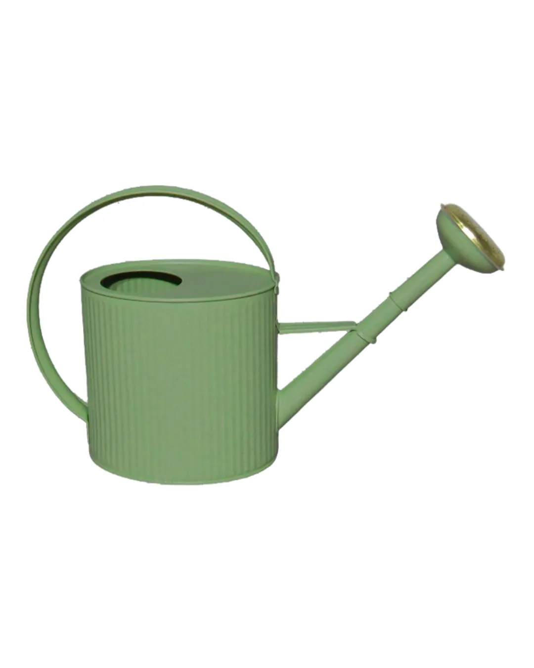 Arrosoir 4L vert céladon Guillouard avec grande anse et pomme amovible à grille en laiton sur fond blanc